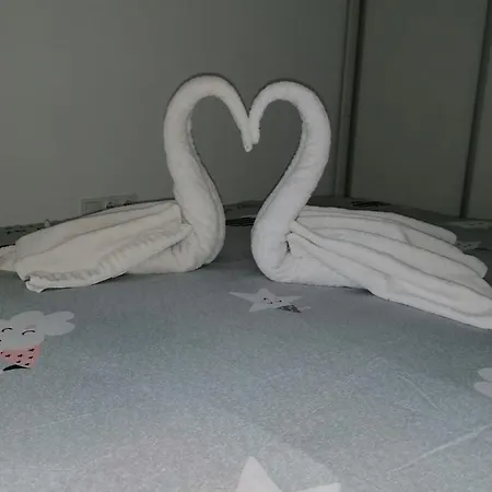 In Centrul Clujului Appartamento