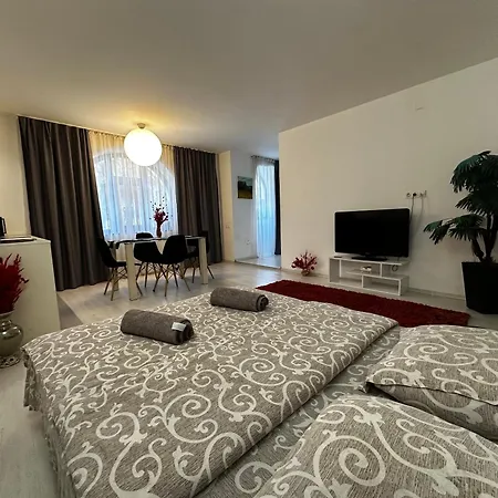 In Centrul Clujului Apartment *