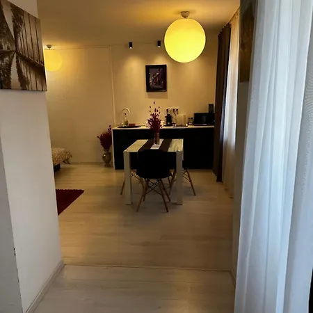 In Centrul Clujului Apartment Cluj-Napoca