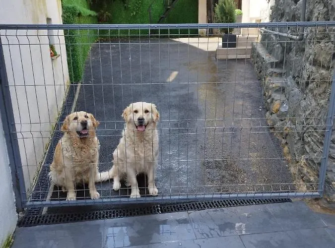 Апартаменты In Centrul Clujului Клуж-Напока