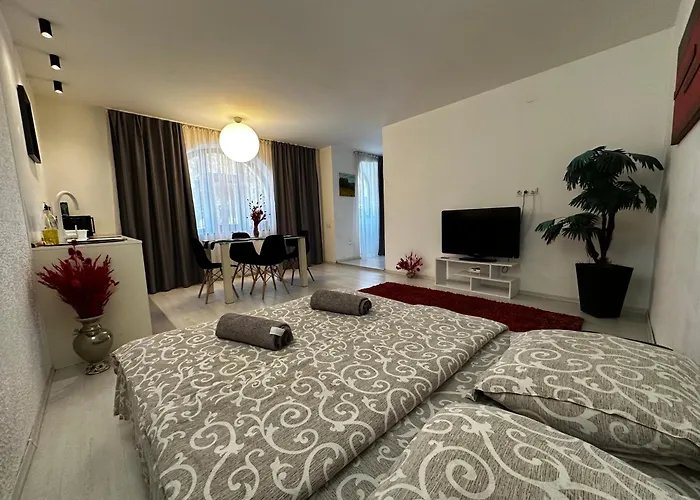 Apartment In Centrul Clujului *